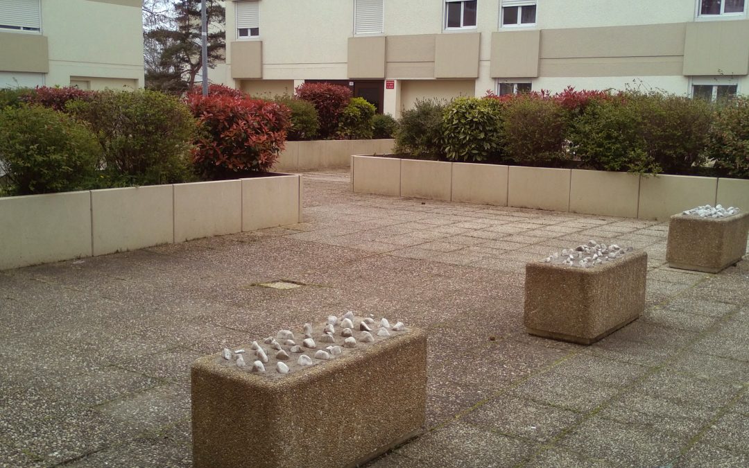 L’Association Normandie Niemen assure le ramassage des déchets dans sa résidence